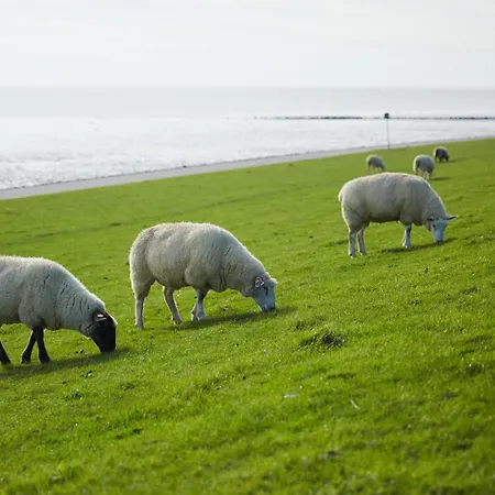 Hotel Strandhotel Salty